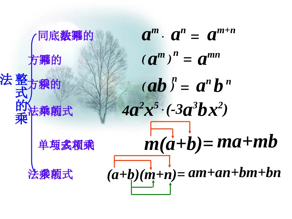 整式的乘法与因式分解复习_第3页