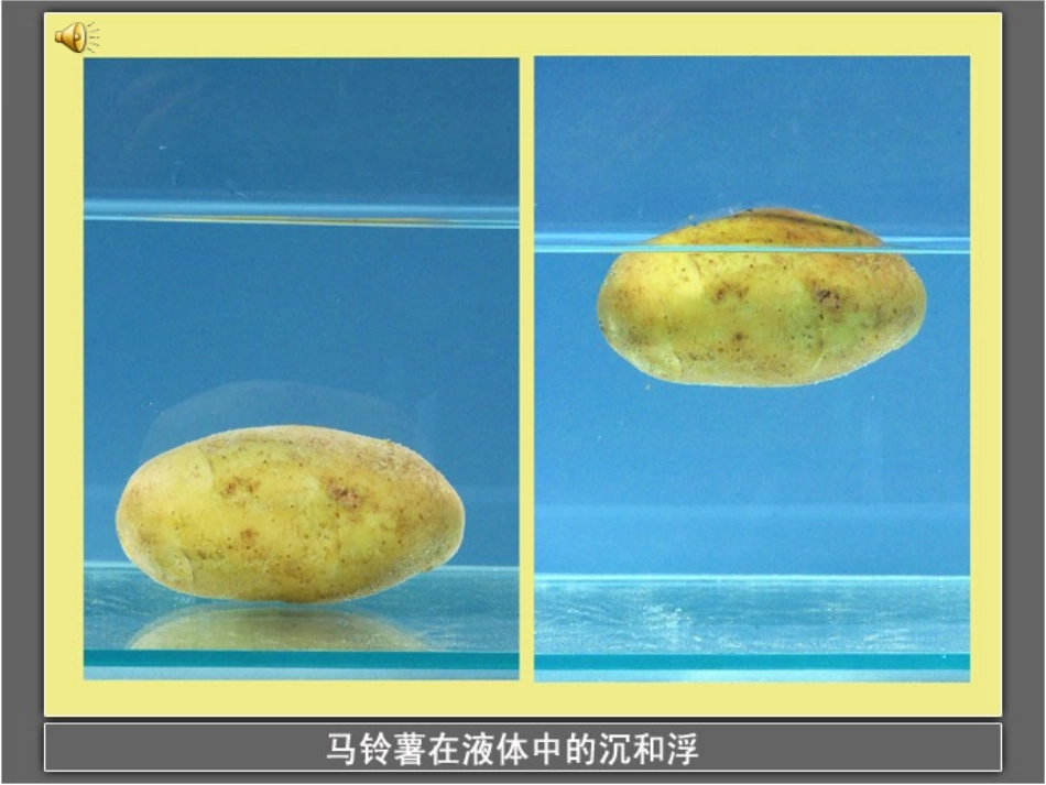 马铃薯在液体中的沉浮2_第3页