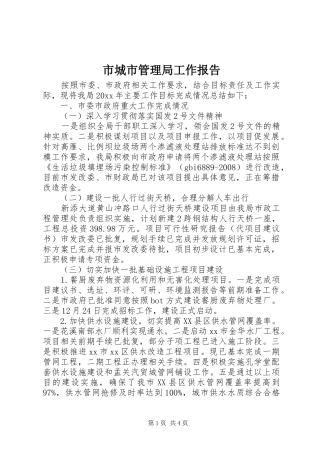 市城市管理局工作报告