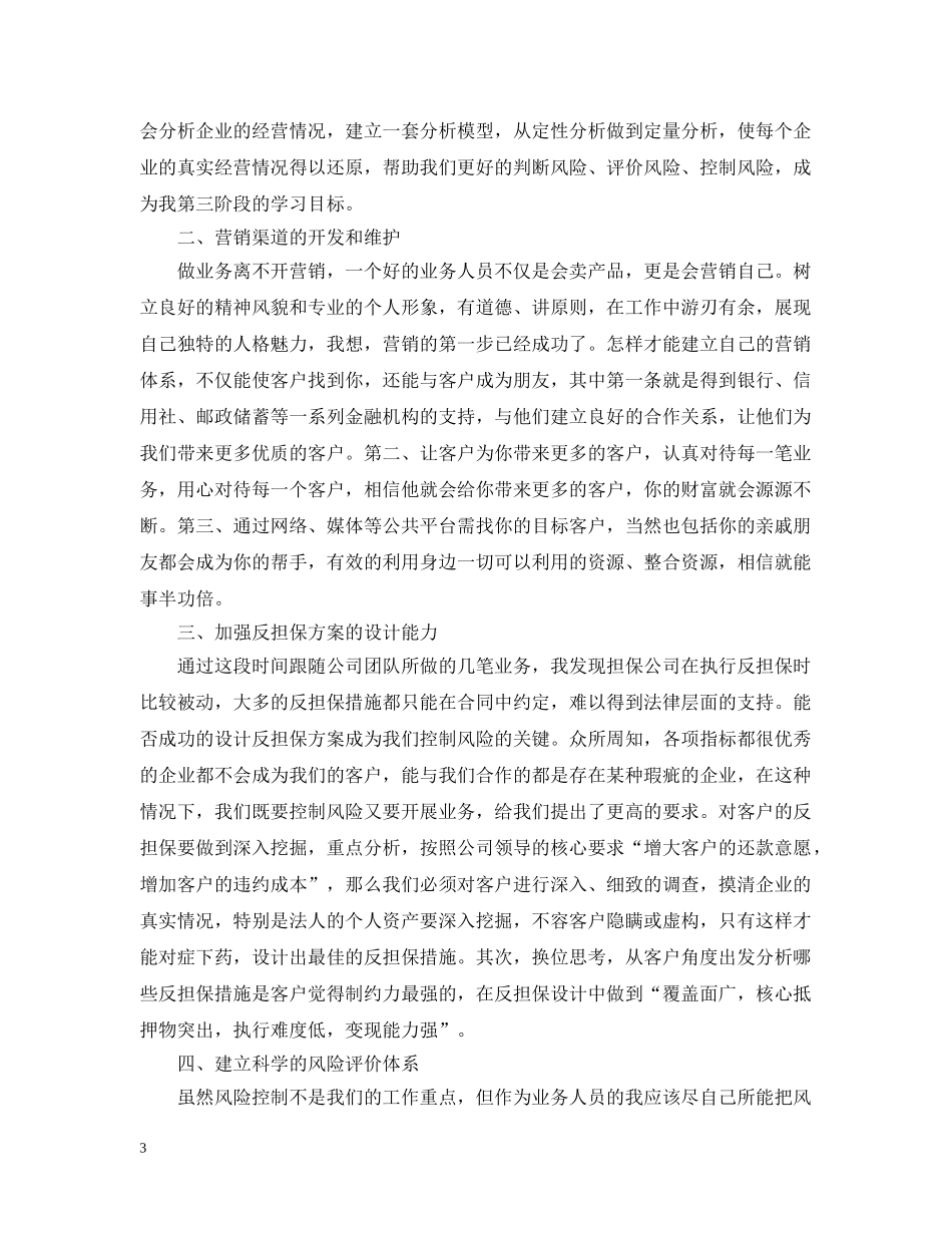 担保公司工作计划范文3篇 _第3页