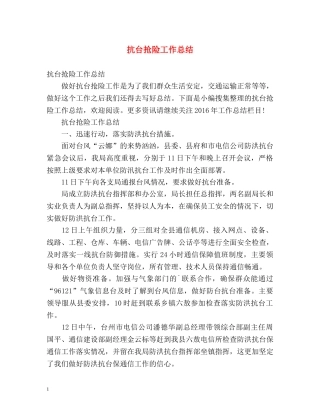 抗台抢险工作总结 