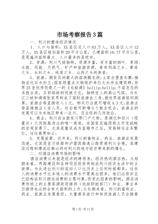 市场考察报告3篇