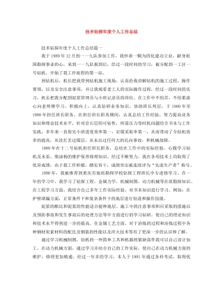 技术钻探年度个人工作总结 