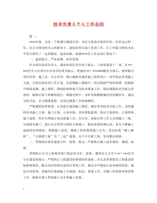 技术负责人个人工作总结2 