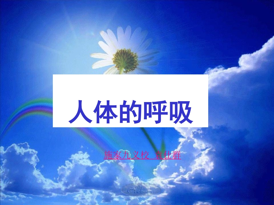 人体的呼吸复习用课!!_第1页