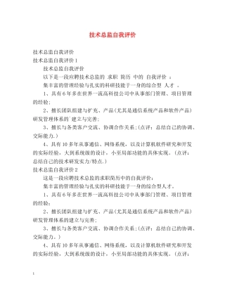 技术总监自我评价 