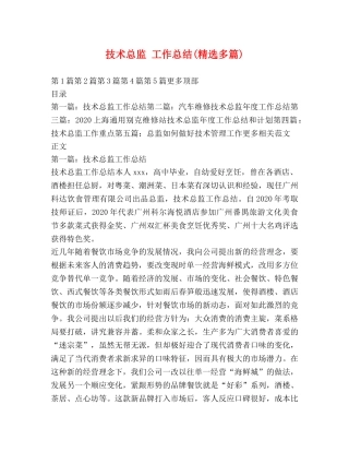 技术总监 工作总结(精选多篇) 