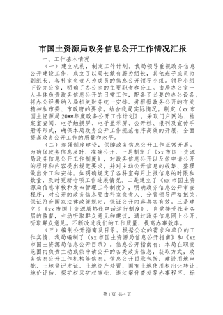 市国土资源局政务信息公开工作情况汇报
