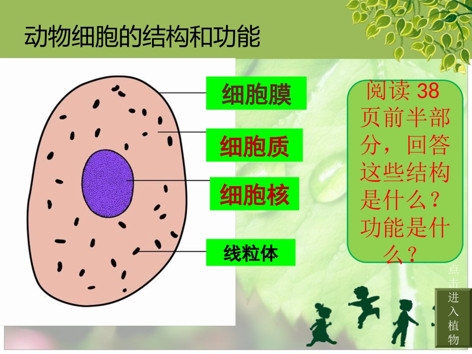 细胞的基本结构和功能_第3页