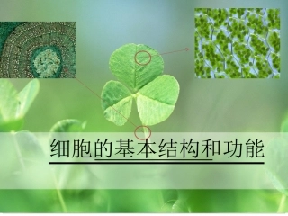 细胞的基本结构和功能