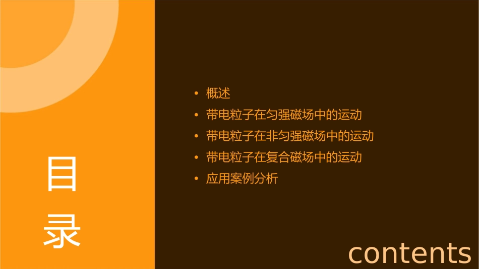 带电粒子在磁场中的运动复习pp解读课件_第2页