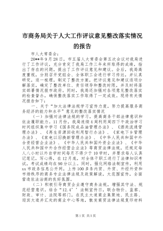 市商务局关于人大工作评议意见整改落实情况的报告
