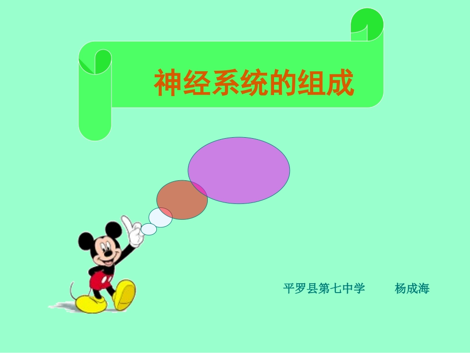 神经系统的组成课件杨成海_第1页