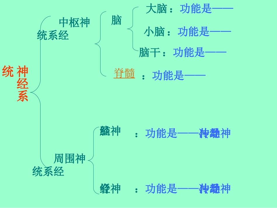 神经系统的组成课件杨成海_第2页