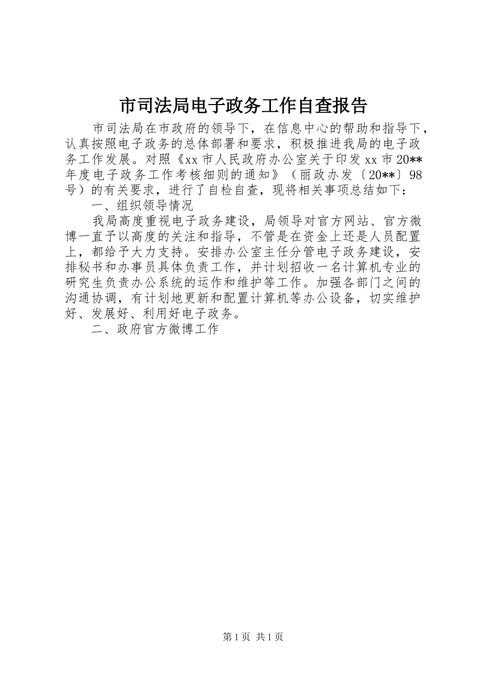 市司法局电子政务工作自查报告_第1页
