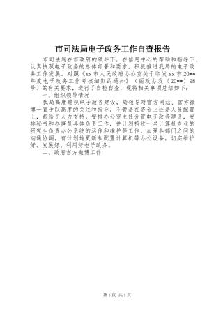 市司法局电子政务工作自查报告
