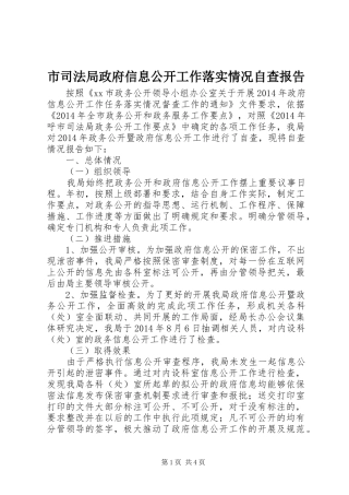 市司法局政府信息公开工作落实情况自查报告