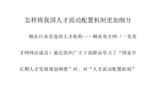 怎样将我国人才流动配置机制更加细分