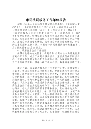 市司法局政务工作年终报告