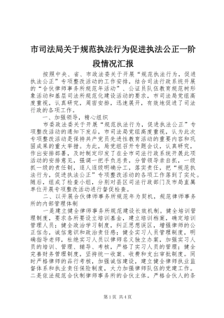 市司法局关于规范执法行为促进执法公正一阶段情况汇报