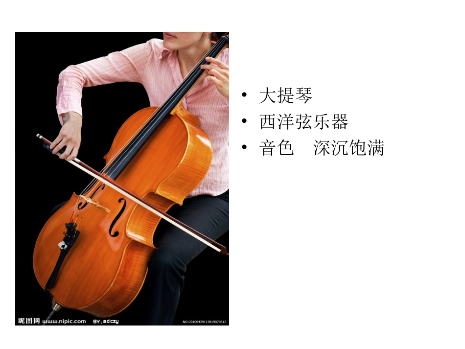 天鹅_小学音乐课件_第3页