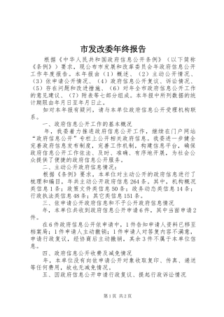 市发改委年终报告