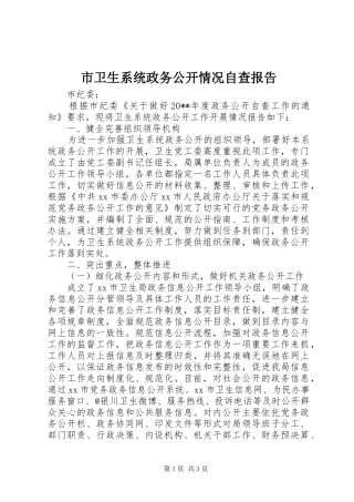 市卫生系统政务公开情况自查报告