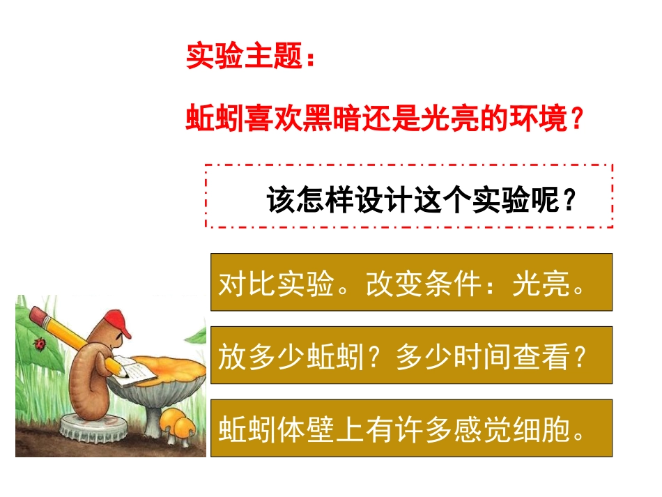 (教科版)五年级科学上册课件_蚯蚓的选择_第3页