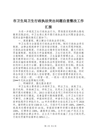 市卫生局卫生行政执法突出问题自查整改工作汇报