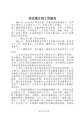市区统计局工作报告