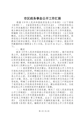 市区政务事态公开工作汇报