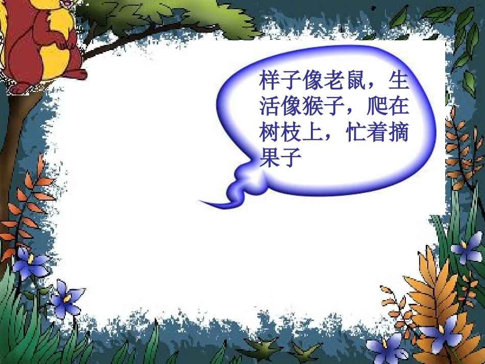 《小松鼠找花生》课件_第2页