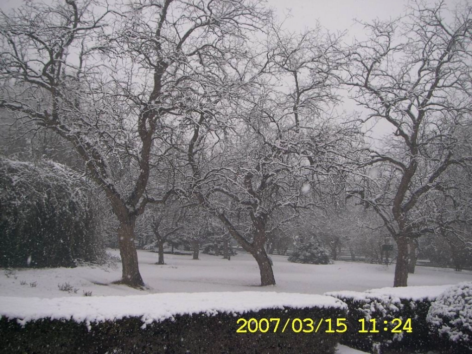 鲁迅_《雪》PPT_第1页