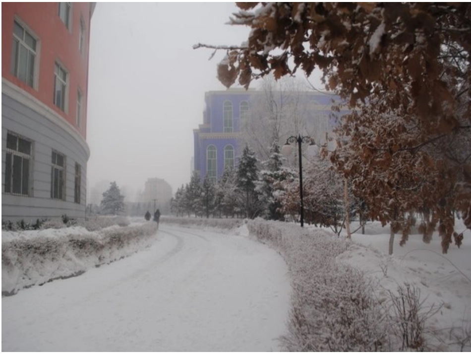 鲁迅_《雪》PPT_第2页