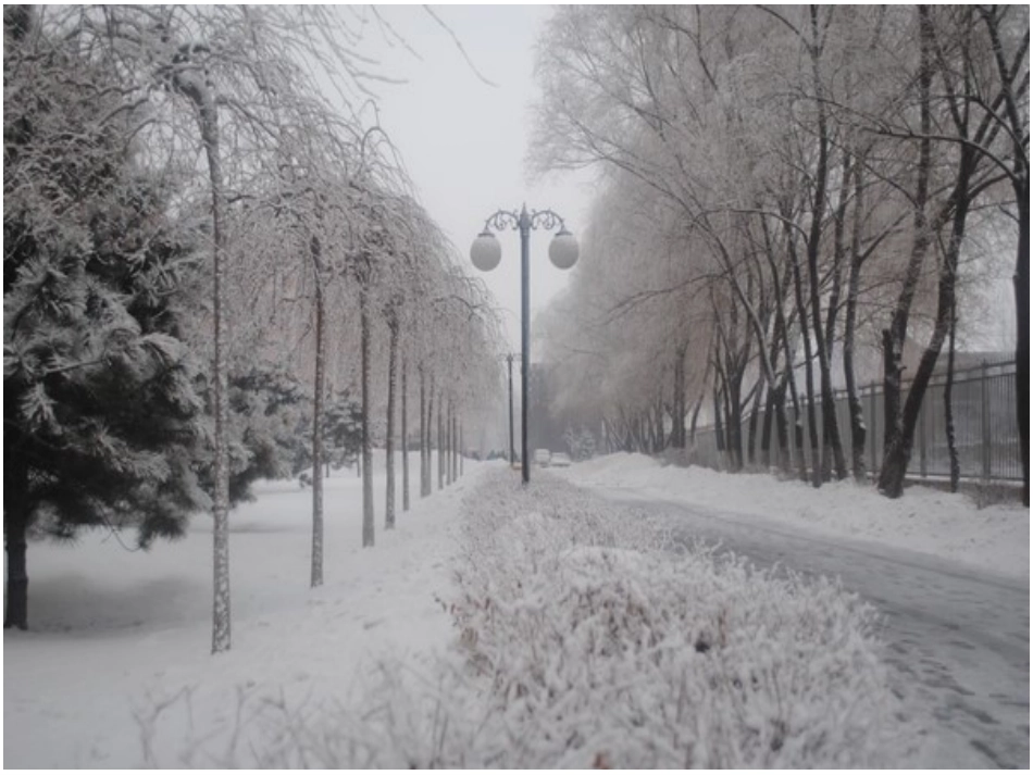 鲁迅_《雪》PPT_第3页