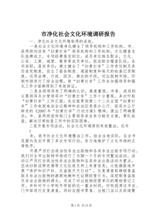 市净化社会文化环境调研报告