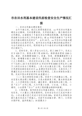 市农田水利基本建设汛前检查安全生产情况汇报
