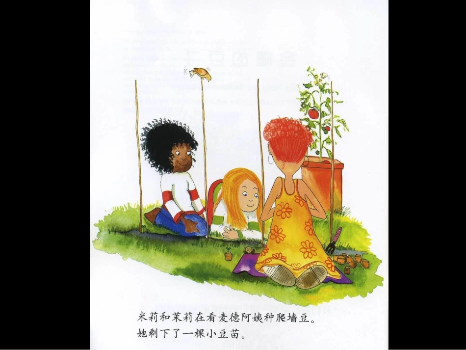 绘本《会爬的豆子》_第3页