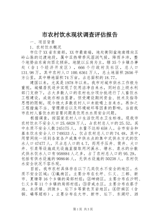 市农村饮水现状调查评估报告