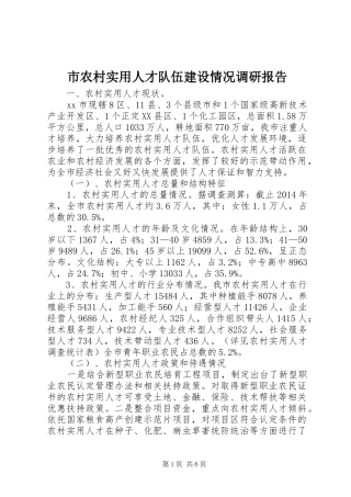 市农村实用人才队伍建设情况调研报告