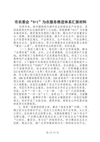 市农委会“6+1”为农服务推进体系汇报材料