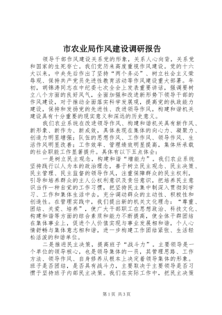 市农业局作风建设调研报告