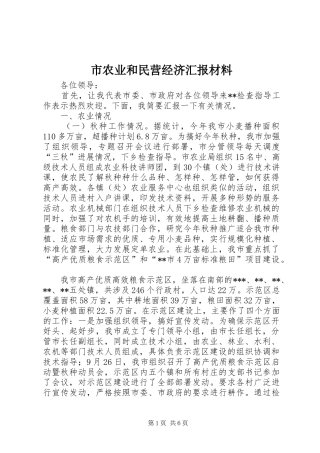 市农业和民营经济汇报材料