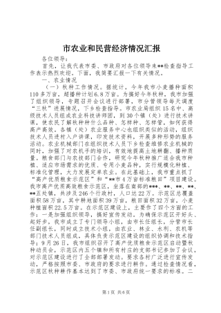 市农业和民营经济情况汇报