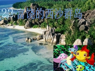 富饶的西沙群岛 (3)