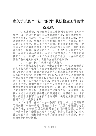 市关于开展“一法一条例”执法检查工作的情况汇报