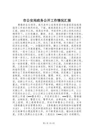 市公安局政务公开工作情况汇报