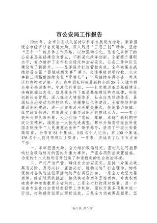 市公安局工作报告