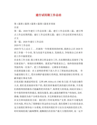 建行试用期工作总结 