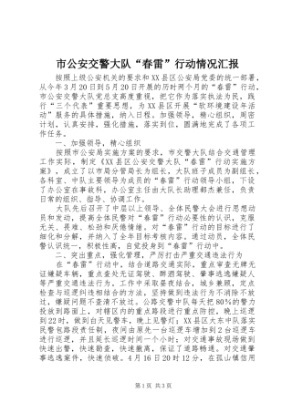市公安交警大队“春雷”行动情况汇报